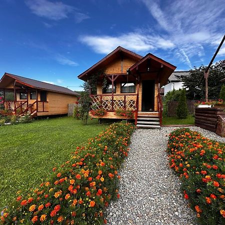 Baltina Parc Transfagarasan Villa Curtea De Arges Bagian luar foto