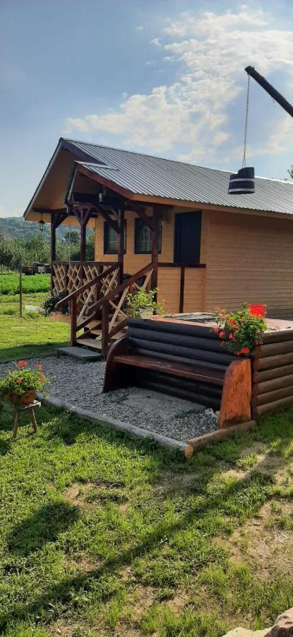 Baltina Parc Transfagarasan Villa Curtea De Arges Bagian luar foto
