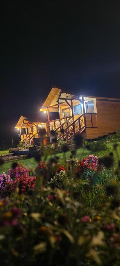 Baltina Parc Transfagarasan Villa Curtea De Arges Bagian luar foto
