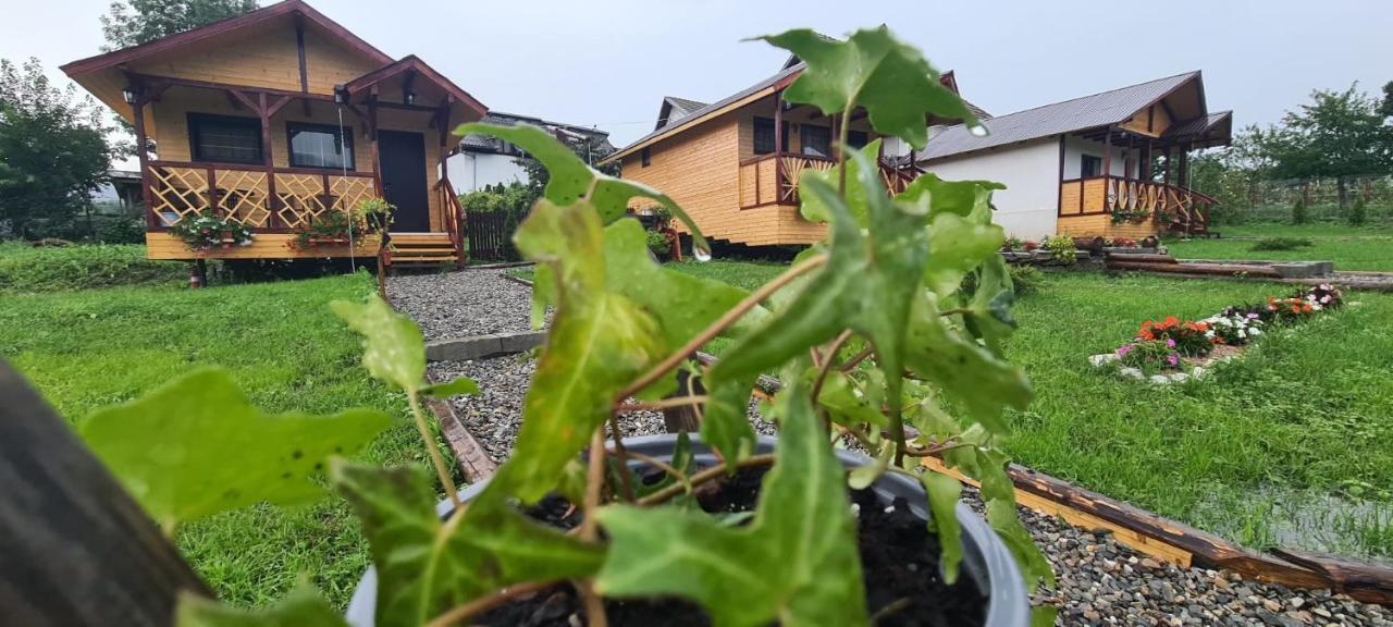 Baltina Parc Transfagarasan Villa Curtea De Arges Bagian luar foto