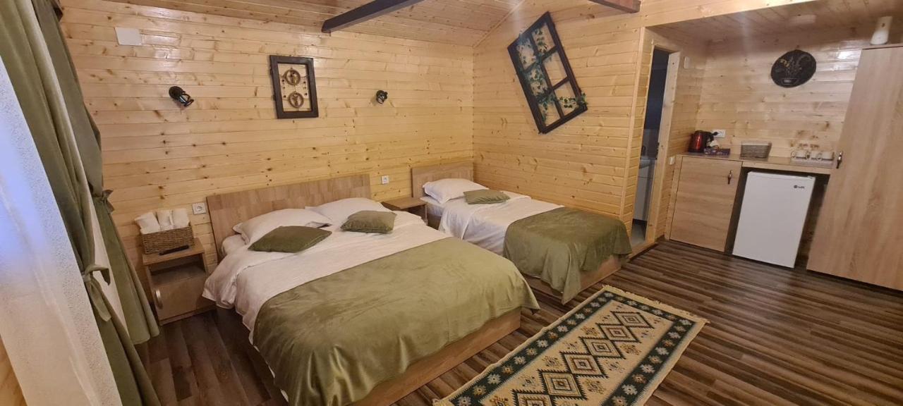 Baltina Parc Transfagarasan Villa Curtea De Arges Bagian luar foto