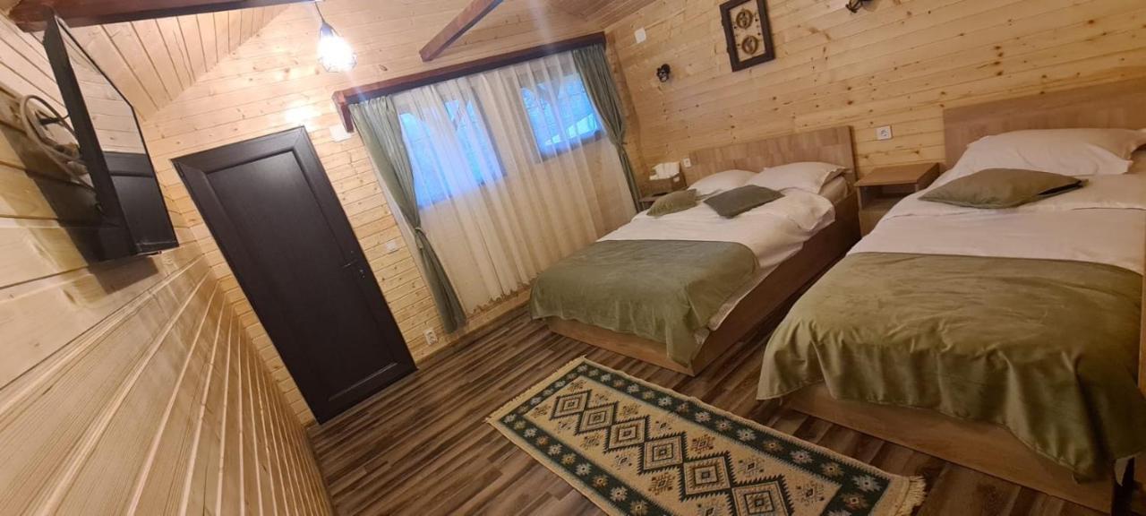 Baltina Parc Transfagarasan Villa Curtea De Arges Bagian luar foto