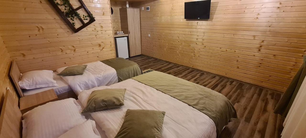 Baltina Parc Transfagarasan Villa Curtea De Arges Bagian luar foto