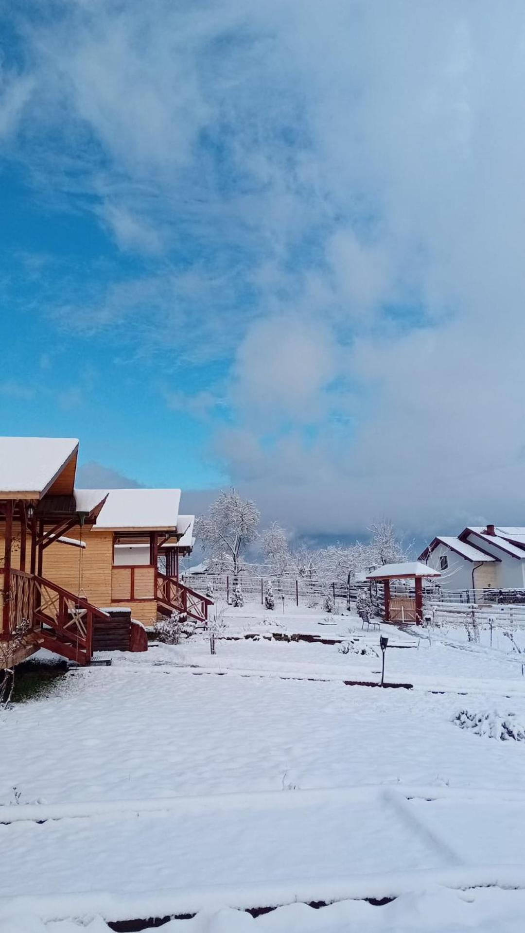 Baltina Parc Transfagarasan Villa Curtea De Arges Bagian luar foto