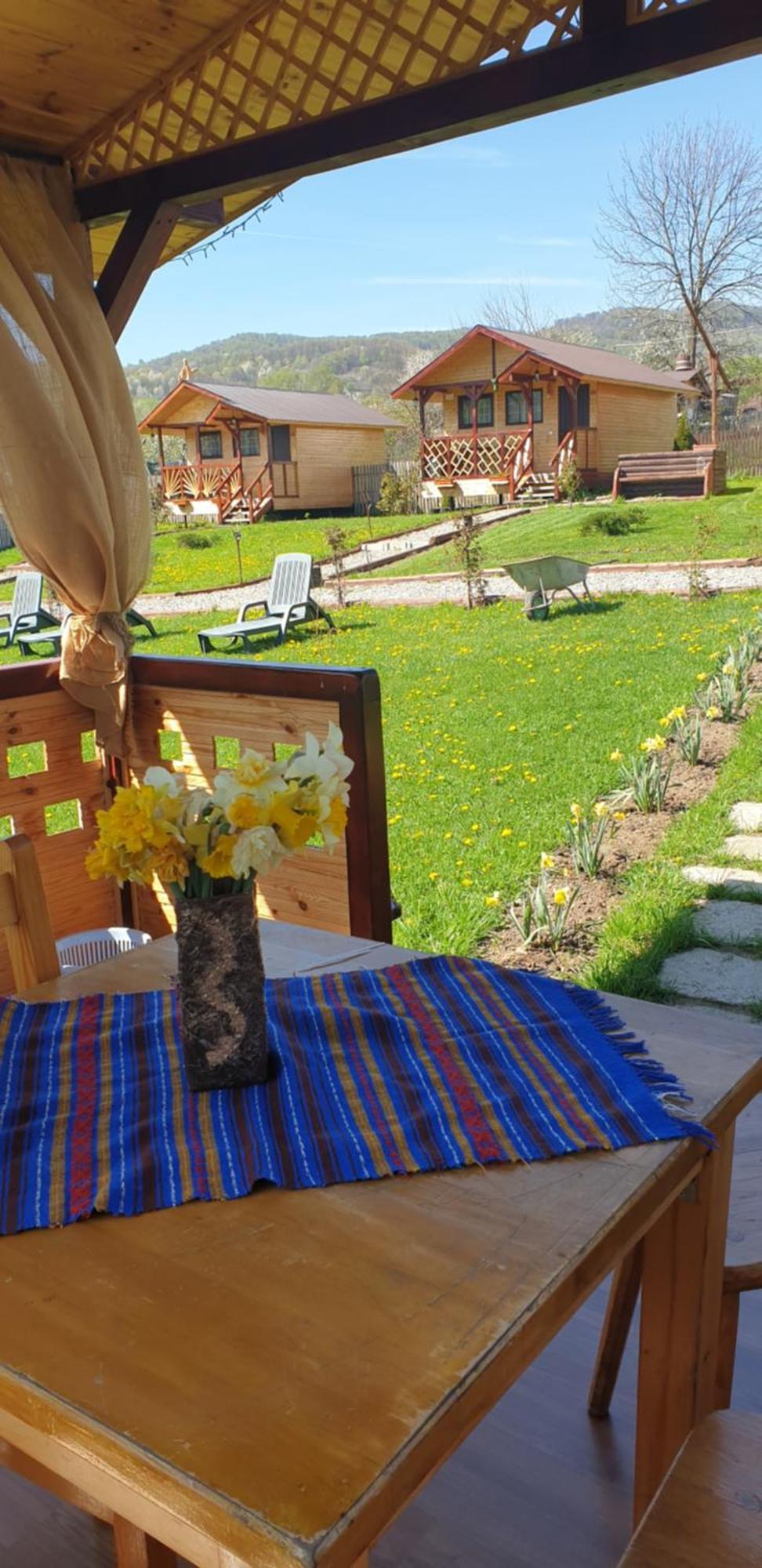 Baltina Parc Transfagarasan Villa Curtea De Arges Bagian luar foto
