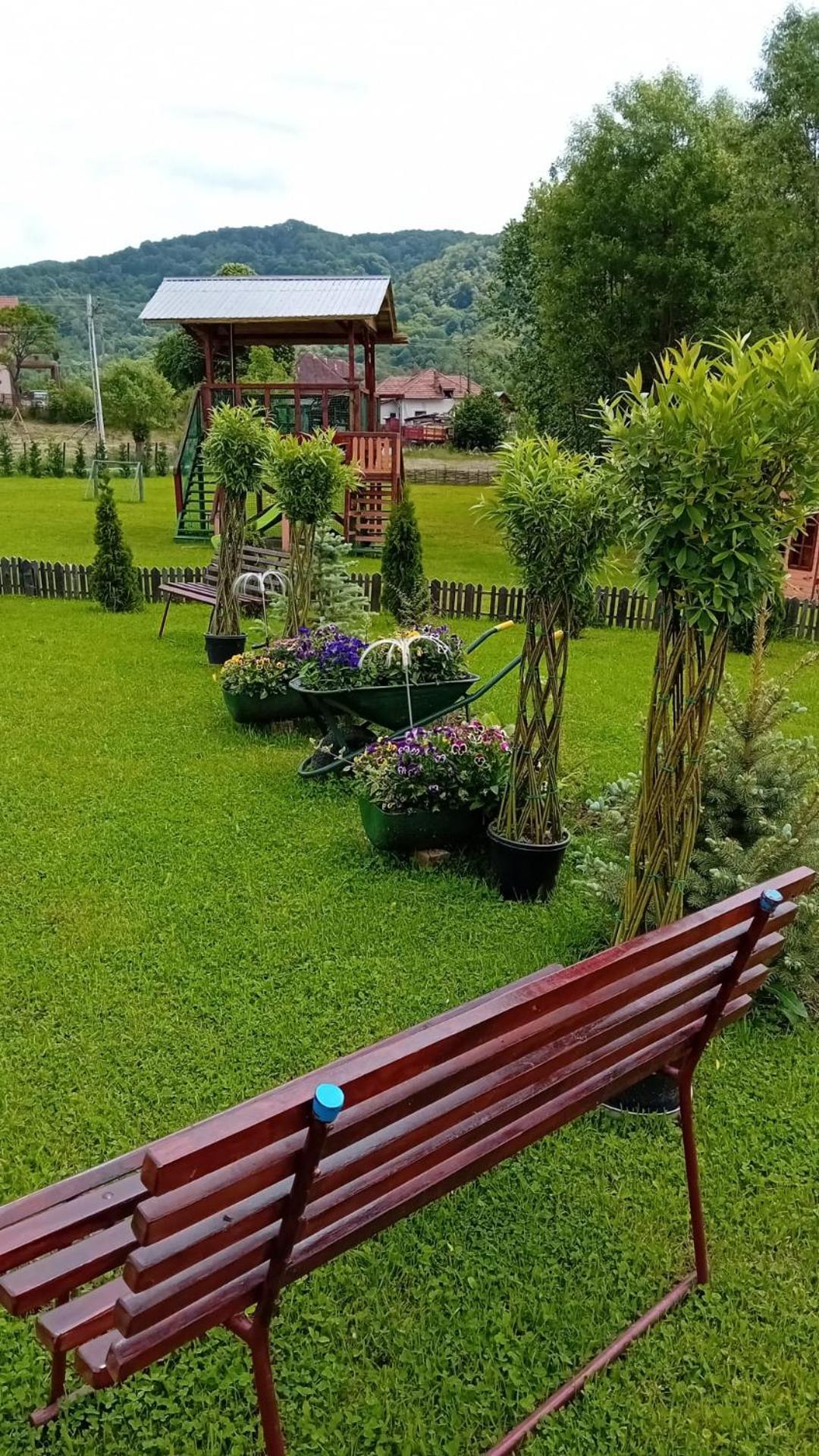 Baltina Parc Transfagarasan Villa Curtea De Arges Bagian luar foto